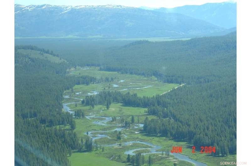 Climate Change Threatens Salmon Habitats, Shrinking and Fragmenting Ecosystems