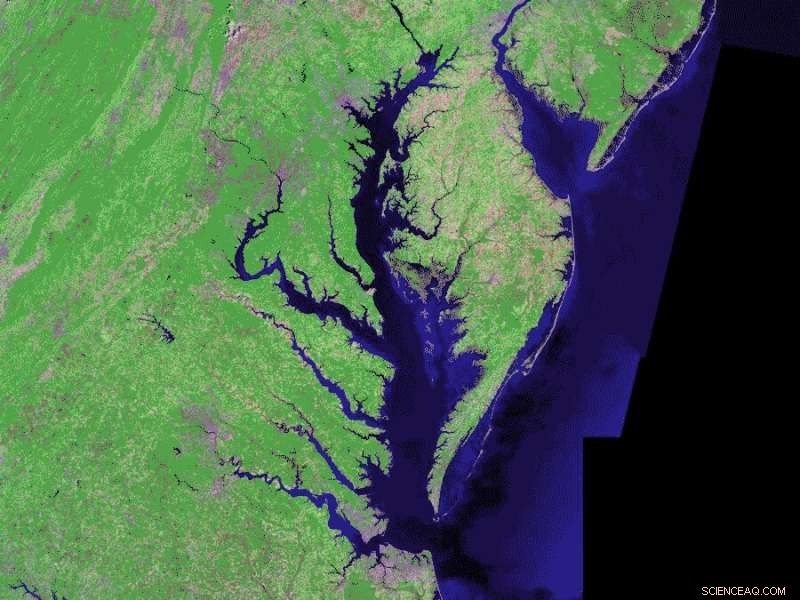 Chesapeake Bay Dead Zone Expected to Shrink 13% This Summer, Study Finds