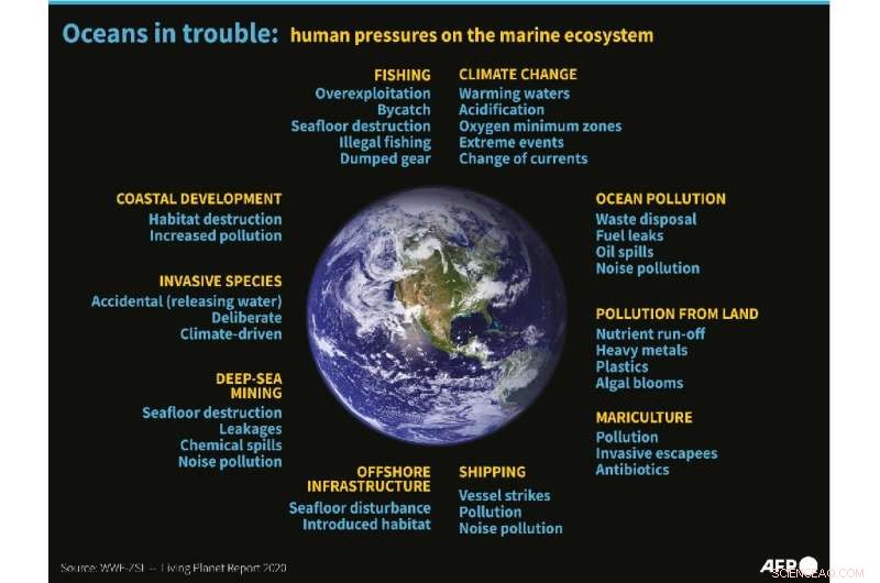 UN Conference Spurs Robust Pledges to Restore Global Ocean Health