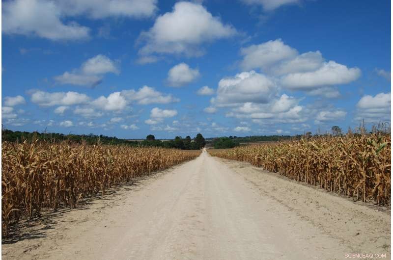 New Amazon Study Reveals Ecological Risks and Actionable Solutions for Landscape Conservation