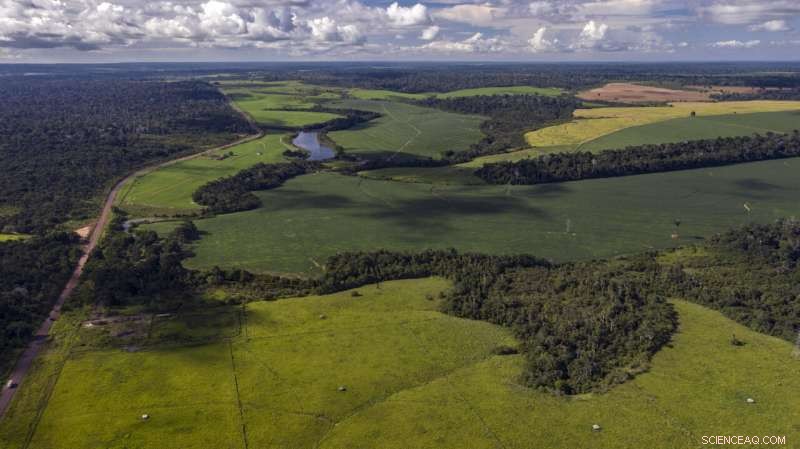 New Amazon Study Reveals Ecological Risks and Actionable Solutions for Landscape Conservation