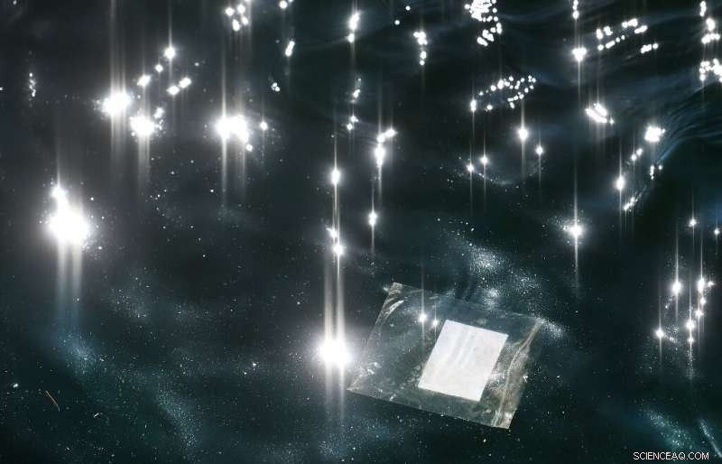 UN Secretary-General Declares Oceans a Global Emergency: Calls for Immediate Action