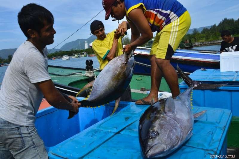 Restoring Oceans: How Healing Our Seas Protects Human Well‑Being
