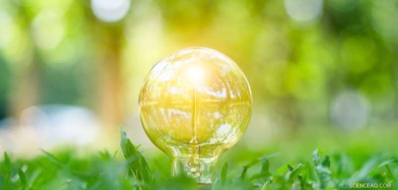 Expert Warns Against Greenwashing While Championing Nature‑Based Climate Solutions