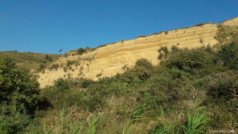 Loess Layers in Tajikistan Reveal Past Climate and Dust Origins