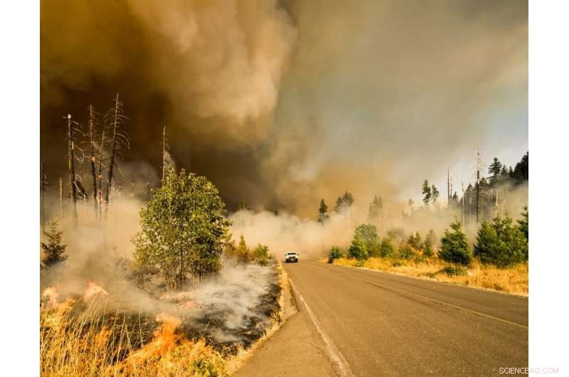 Wildfire Experts Urge Proactive Strategies to Combat Intensifying Fires