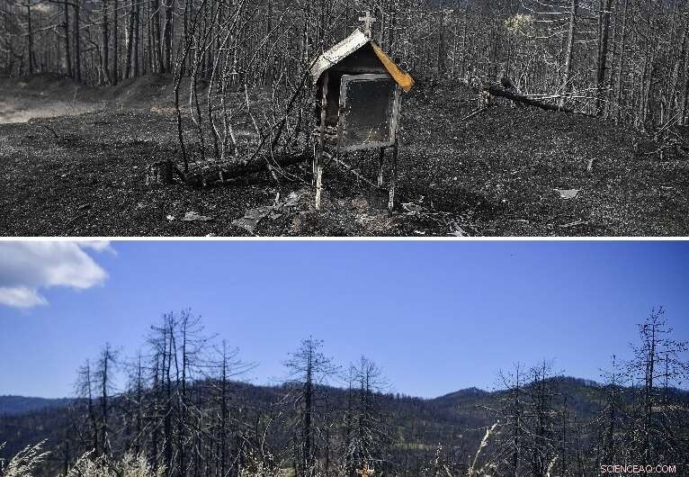 Evia s Wildfire Devastation: Decades Ahead for Full Recovery