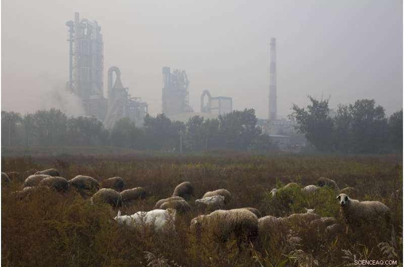 Cement Industry s CO₂ Emissions Double Over Two Decades, Driven by China