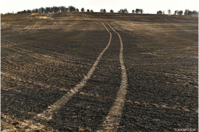 Early Heat Waves and Drought Amplify Wildfire Risk Across Europe