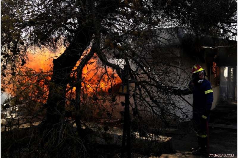 Early Heat Waves and Drought Amplify Wildfire Risk Across Europe