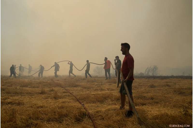 Early Heat Waves and Drought Amplify Wildfire Risk Across Europe