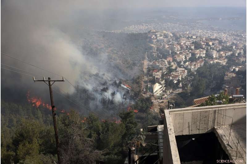Early Heat Waves and Drought Amplify Wildfire Risk Across Europe