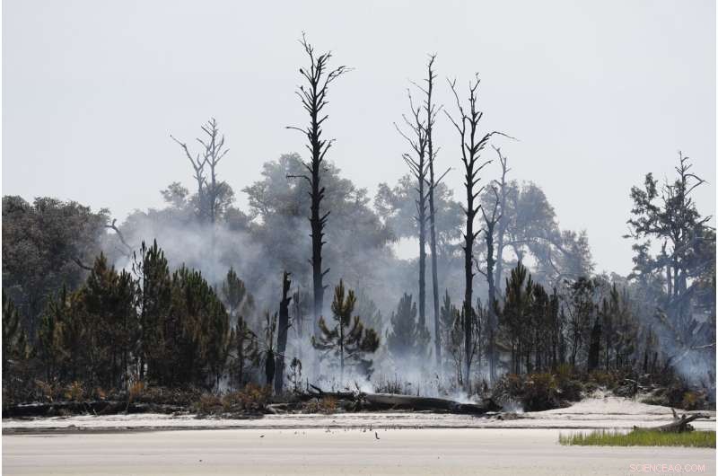 Lightning‑Ignited Wildfires Threaten Georgia s Historic St. Catherine s Island