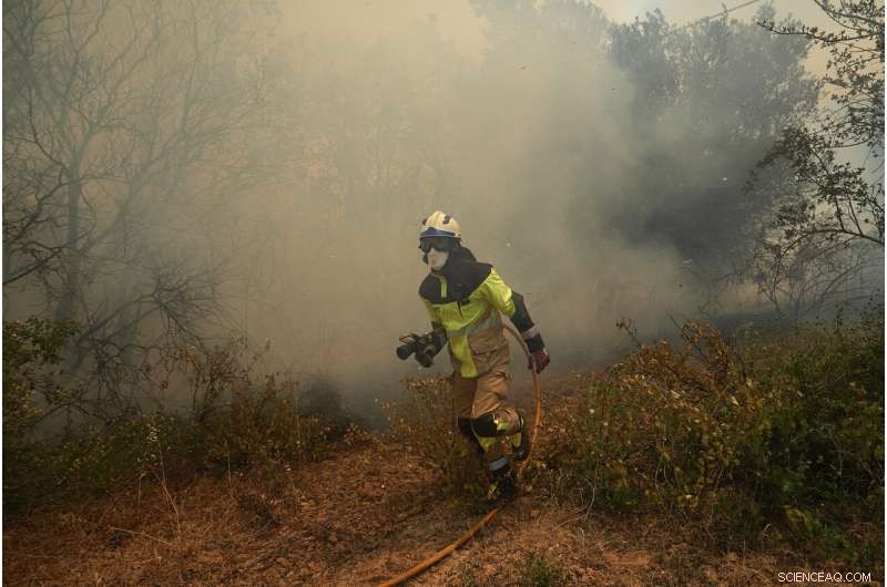 Cooler Temperatures Contain Spain s Largest Wildfire; Rain Aids Germany