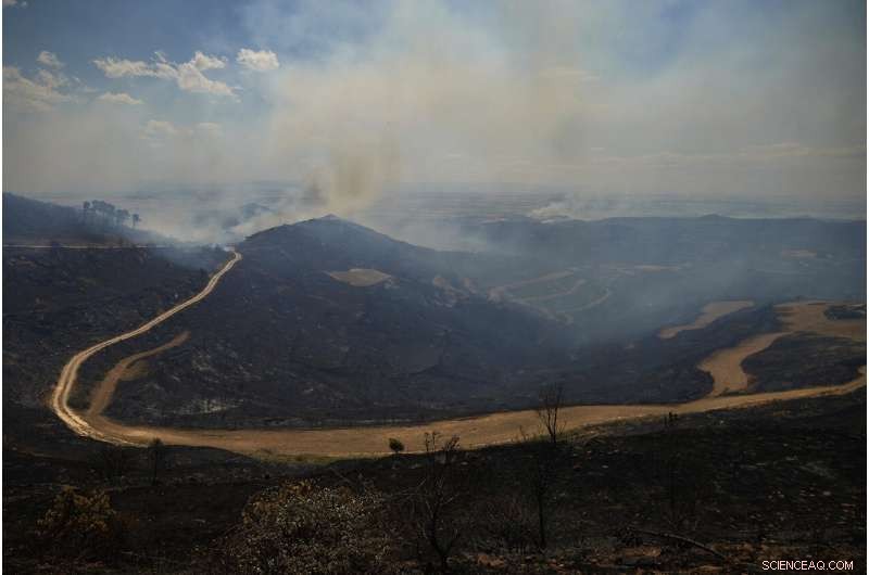 Cooler Temperatures Contain Spain s Largest Wildfire; Rain Aids Germany