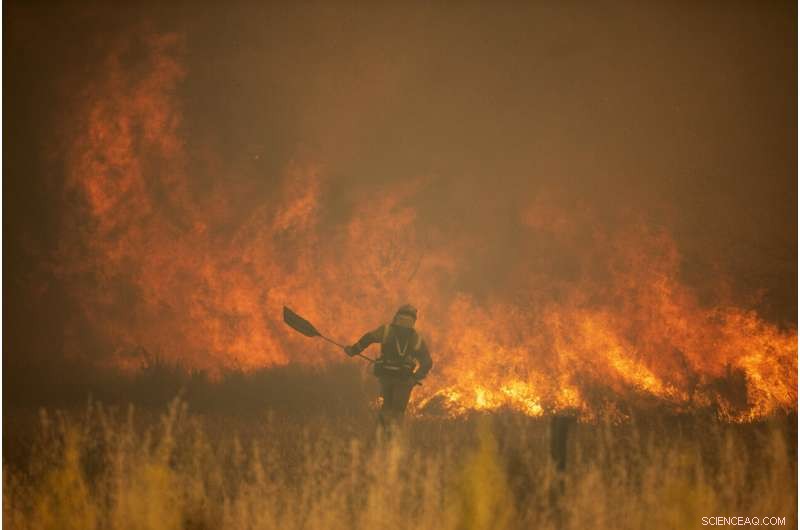 Spain Battles Wildfires Amid Unusual Heat Wave, Evacuations in Sierra de la Culebra