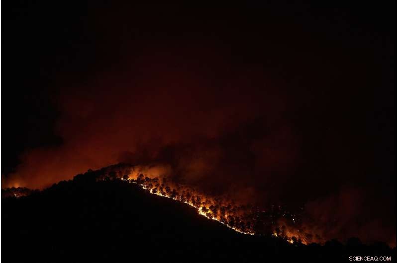 Spain Battles Wildfires Amid Unusual Heat Wave, Evacuations in Sierra de la Culebra