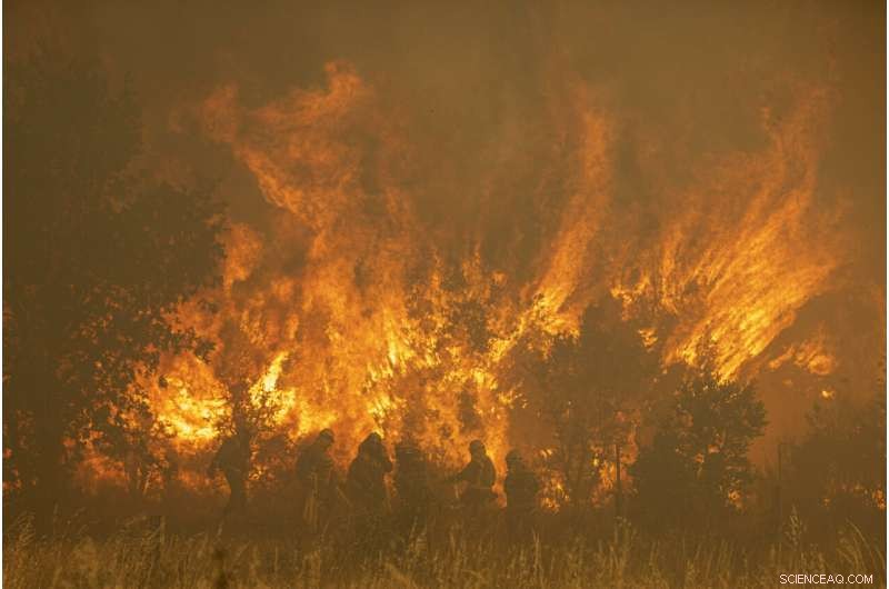 Spain Battles Wildfires Amid Unusual Heat Wave, Evacuations in Sierra de la Culebra