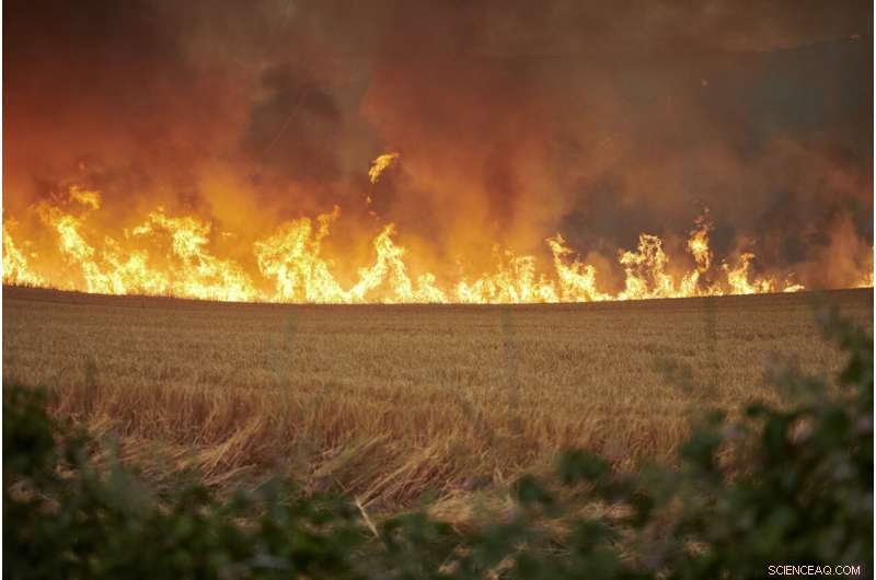Spain Battles Wildfires Amid Unusual Heat Wave, Evacuations in Sierra de la Culebra