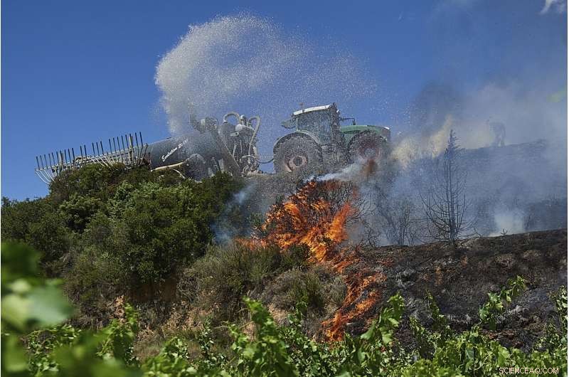 Spain Battles Wildfires Amid Unusual Heat Wave, Evacuations in Sierra de la Culebra