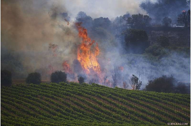 Spain Battles Wildfires Amid Unusual Heat Wave, Evacuations in Sierra de la Culebra