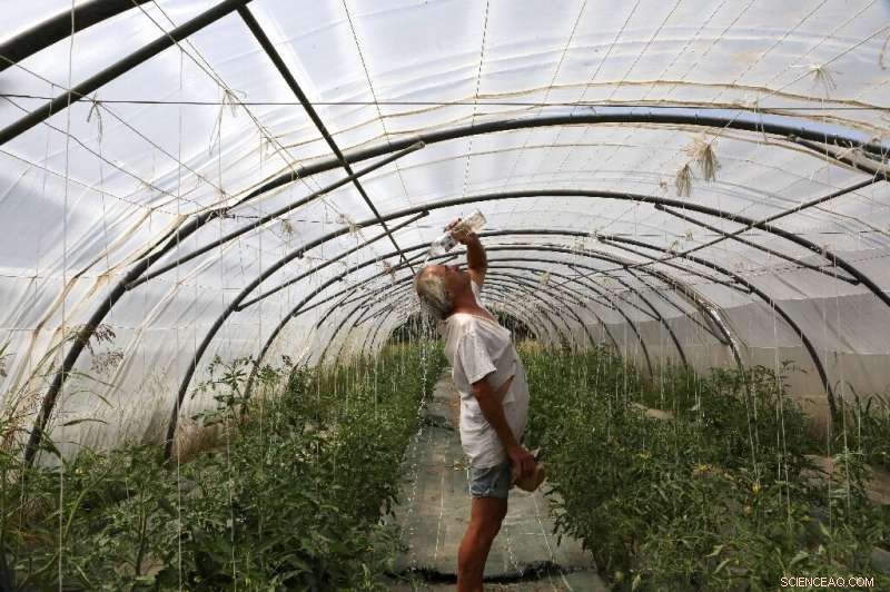 Europe Endures Record-Breaking June Heatwave, Parisians Seek Relief in City Fountains