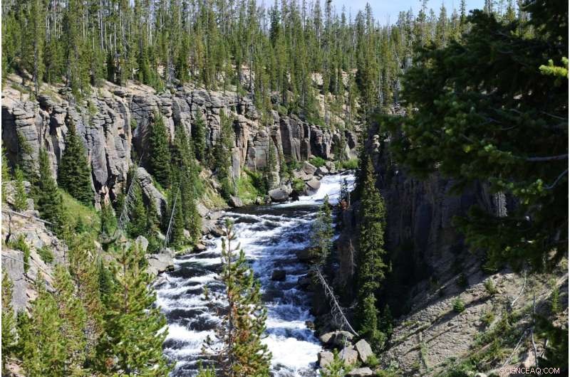 From Drought to Flood: Heavy Snow and Rain Flood Yellowstone