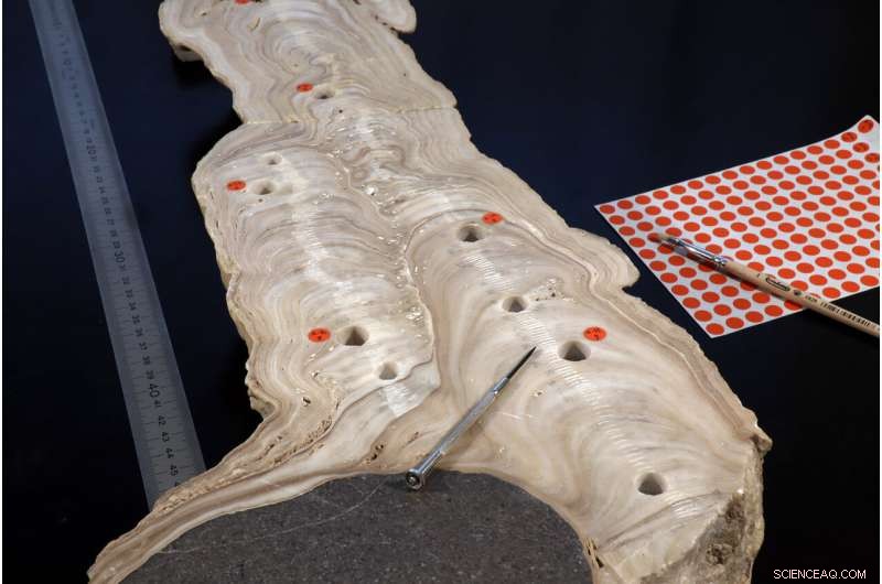 How 6th-Century Droughts Sparked the Rise of Islam