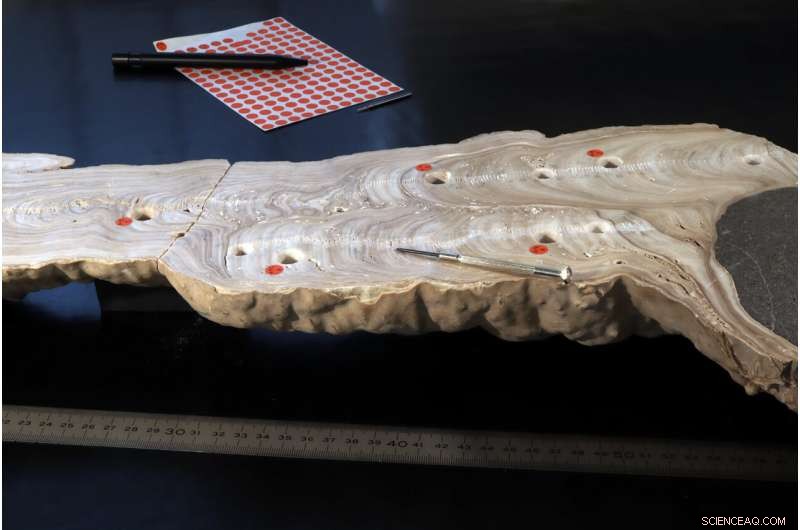 How 6th-Century Droughts Sparked the Rise of Islam