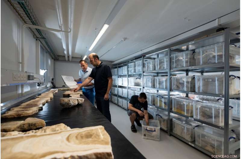 How 6th-Century Droughts Sparked the Rise of Islam