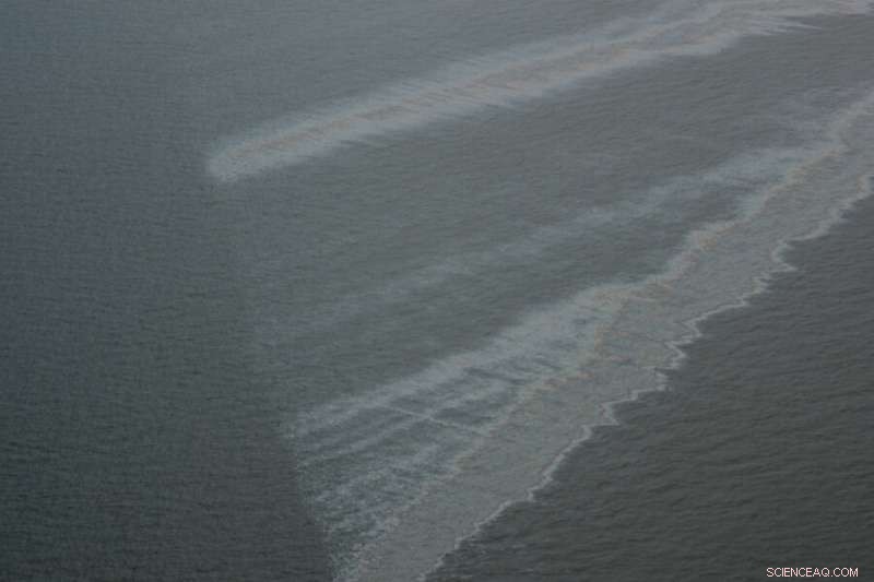 Study Reveals Humans Cause Over 90% of Global Oil Slicks