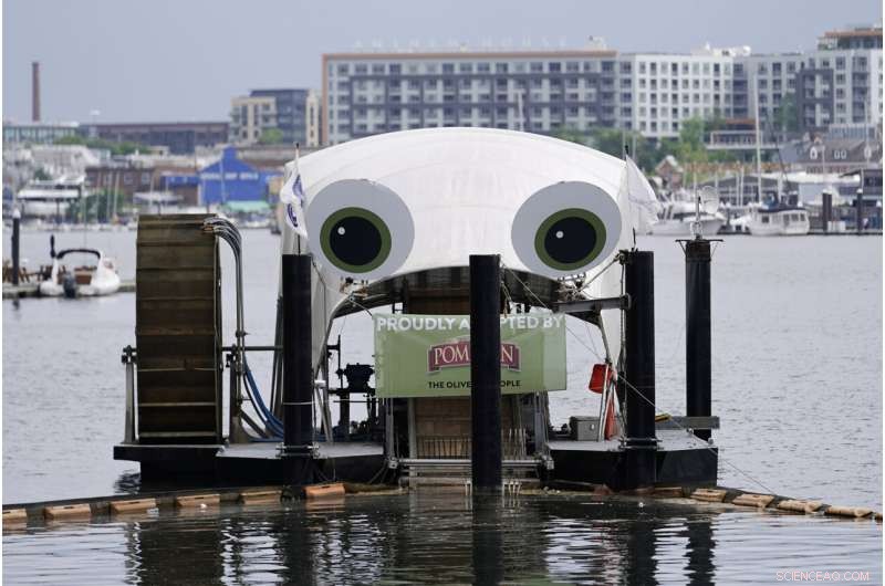 River Trash Traps Tackle the Massive Ocean Plastic Problem