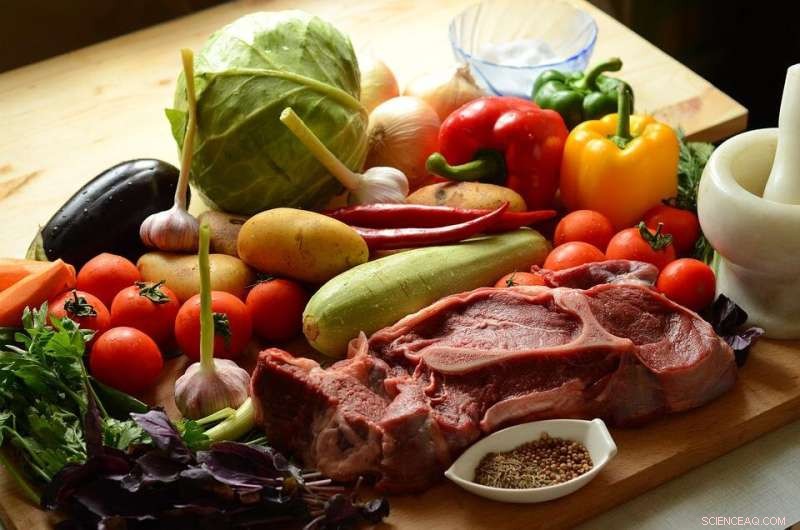Red Meat Consumption May Stay High in Finland Despite Growing Support for Plant‑Based Diets