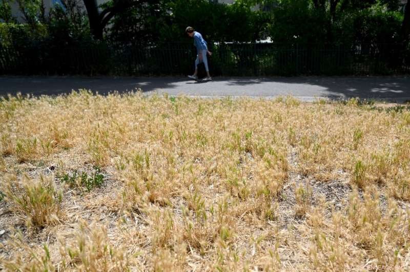 France Confronts Record Early Heatwave as Spain Battles Ongoing Forest Fires