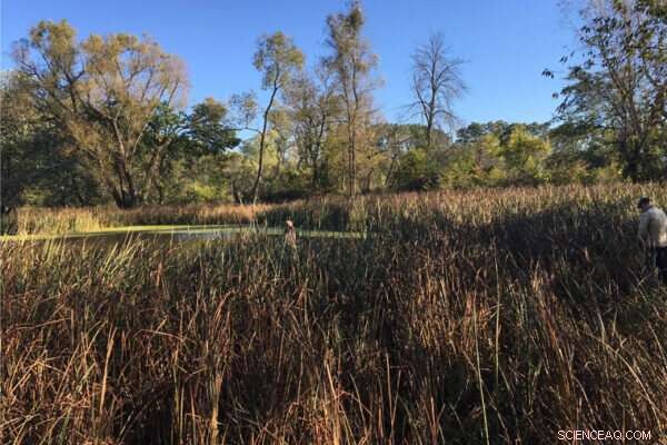 Feeding Metals to Microbes: A Promising Strategy to Cut Greenhouse Gas Emissions