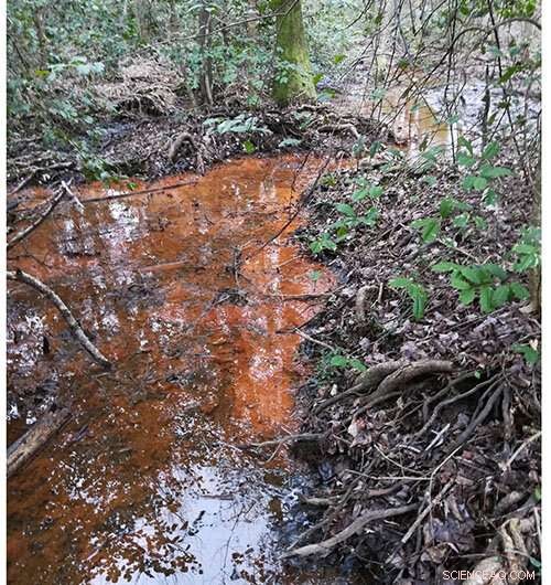 Feeding Metals to Microbes: A Promising Strategy to Cut Greenhouse Gas Emissions