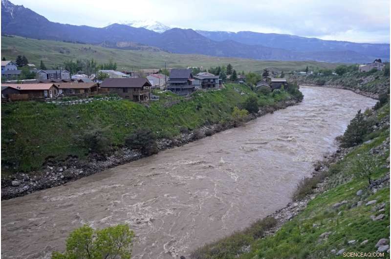 Floodwaters Threaten Montana’s Largest City After Yellowstone Disaster