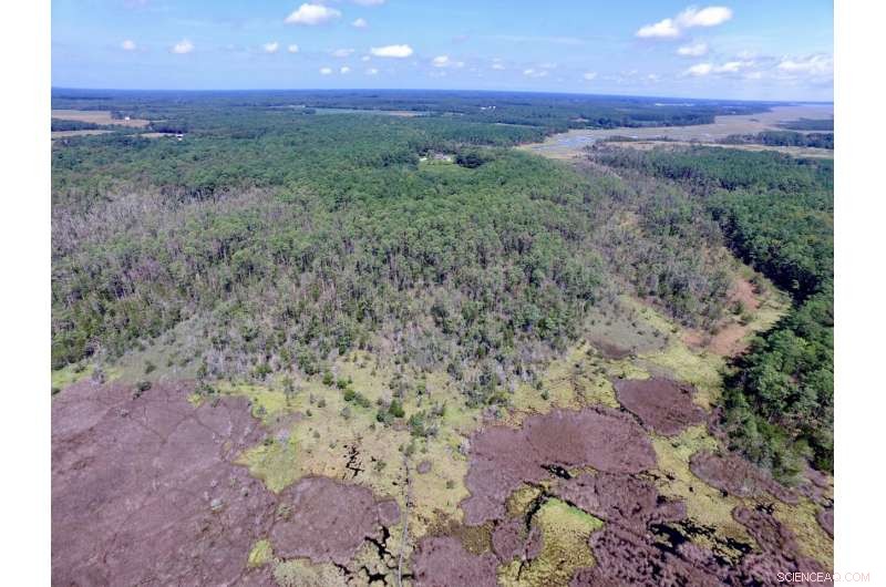 Rural Communities Face the Biggest Impact of U.S. Sea‑Level Rise