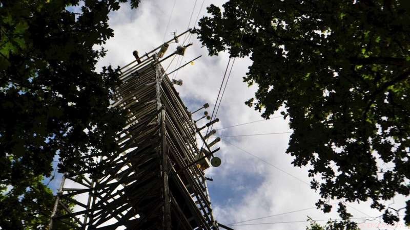 Pioneering Neutron Study Reveals Surface Film Dynamics on Atmospheric Pollution Particles