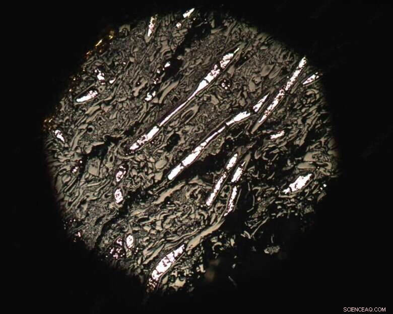 Earliest Wildfire Record Sheds Light on Ancient Earth s Vegetation and Oxygen Levels