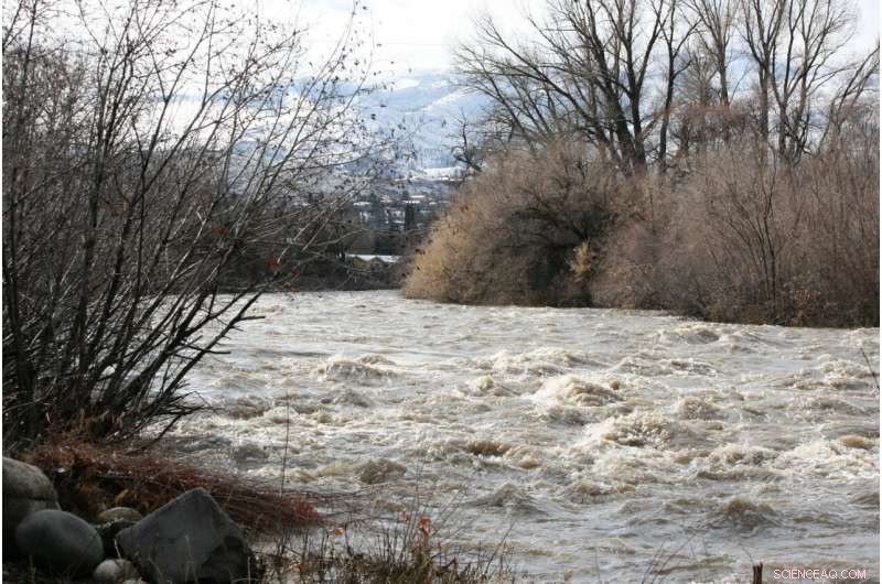 Assessing Uncertainty in Flood Risk Estimates: A Study on Truckee River Flood Frequency Analysis