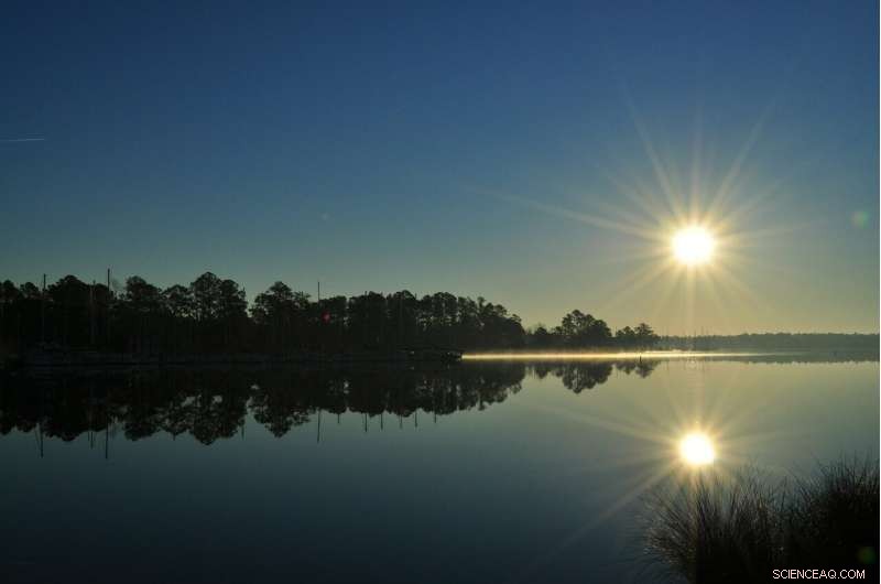 New Study Warns North Carolina Could Lose 40% of Coastal Wetlands by 2070 Due to Rising Sea Levels