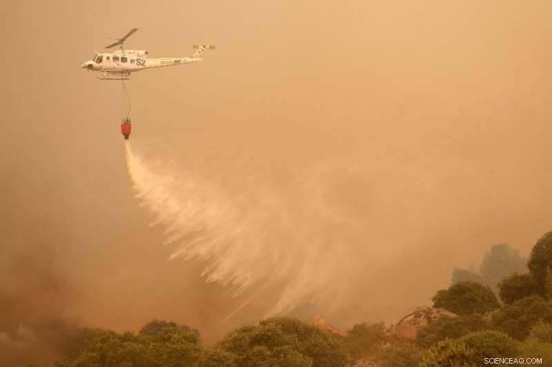 Severe Heatwave Sweeps Spain; France Prepares for Record-Breaking Temperatures