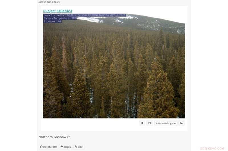 Citizen Science Study Reveals Snow on Trees Drives Summer Water Supply