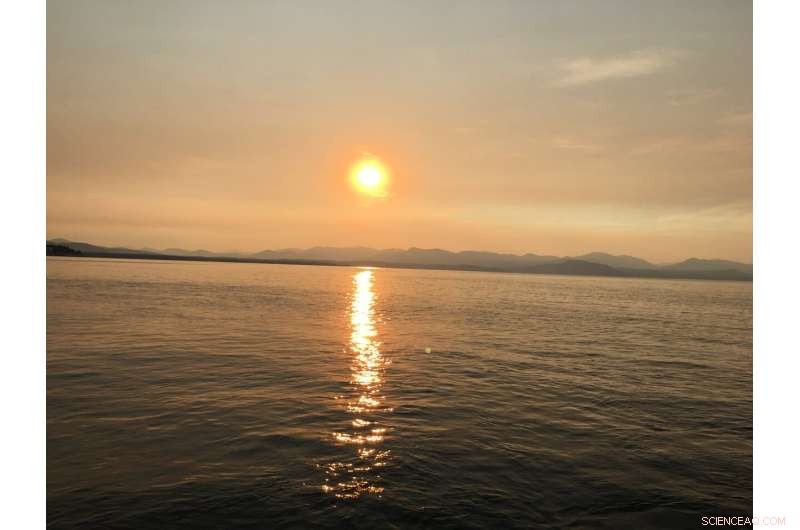 Yellowstone’s 14,000-Year Record of Hydrothermal Explosions: Insights & Hazards