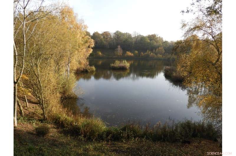 EPA Deploys Giant Seabins in Schuylkill River to Capture Plastic Waste