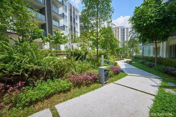 How Small Green Spaces Mitigate Urban Heat Islands During Heat Waves