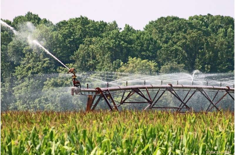 The Hidden Dangers of Faulty Global Irrigation Models