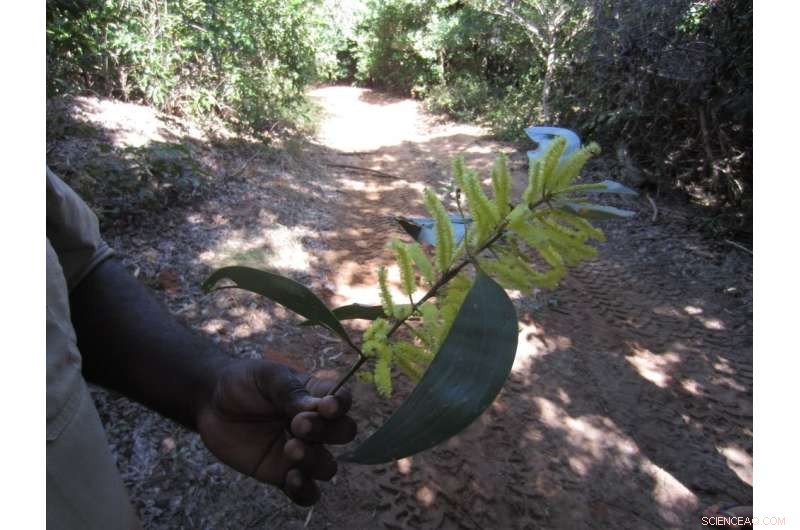 Leveraging Indigenous Wisdom and Western Science to Combat Climate Change