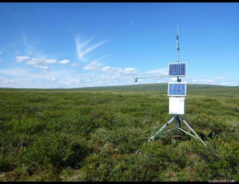 Scientists Discover Early Signals of Permafrost Thaw in Alaska